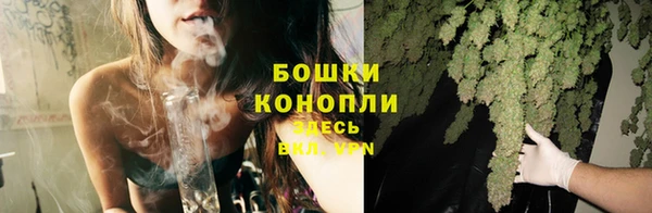 амф Богданович