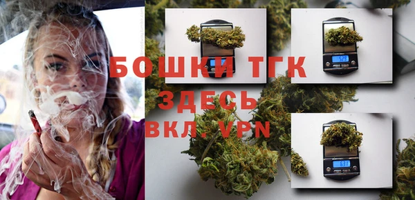 амф Богданович