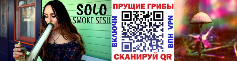 Галлюциногенные грибы ЛСД  где продают   Козловка 